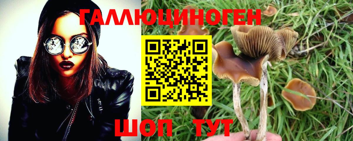 Галлюциногенные грибы ЛСД  Псилоцибиновые грибы MAGIC MUSHROOMS  Новочеркасск  Вход с VPN 